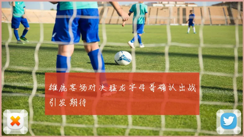 雄鹿客场对决猛龙字母哥确认出战引发期待