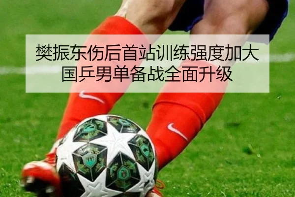 樊振东伤后首站训练强度加大 国乒男单备战全面升级 | kaiyuan